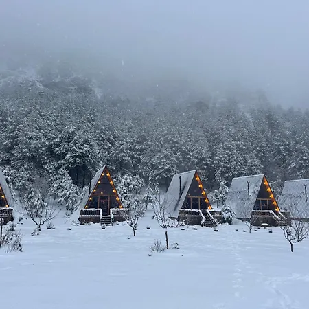 게스트하우스 Alpine *